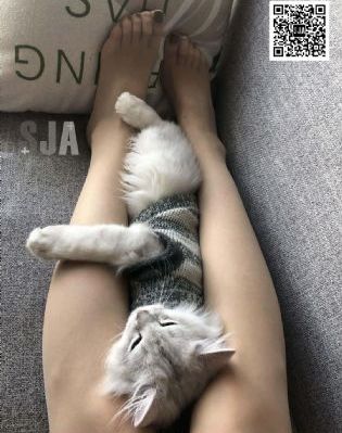 亚洲中文字幕精品久久_在线观看完整版电影在线观看